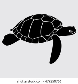 Turtle on white background. Vector