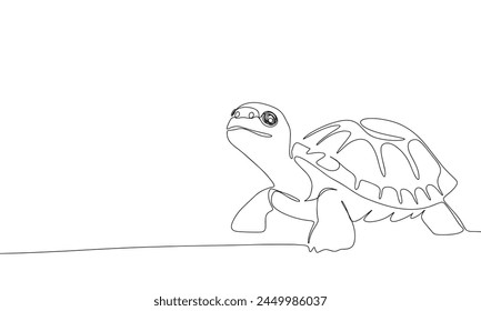 Turtle one line continuous. Line art tortoise. Hand drawn vector art.