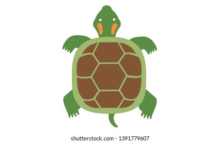 turtle orange ears - Vector
