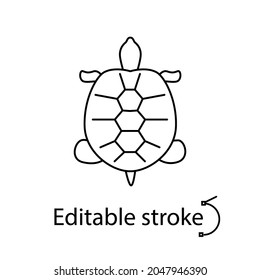 Turtle outline icon. Maldives marine life. Coral island. Exotic vacation. Customizable linear contour symbol. Editable stroke. Isolated vector stock illustration