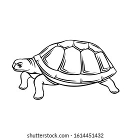 Turtle outline icon. Zoo turtle animal, vector illustration.