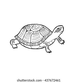 Turtle. Outline vector illustration.