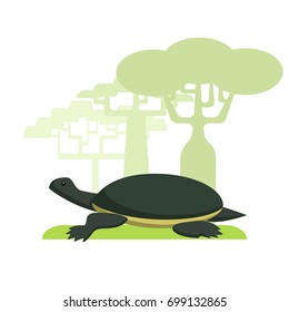 Turtle painted in a flat style on a white background