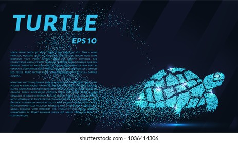 Turtle of the particles. Turtle consists of small circles