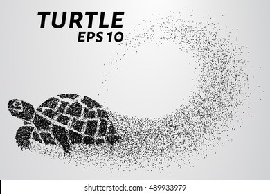 Turtle of the particles. Turtle consists of small circles.
