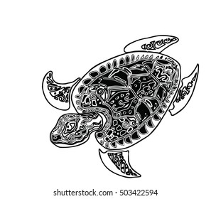 Turtle pattern