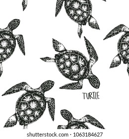 turtle pattern on white background, hand drawn