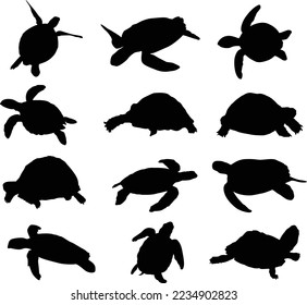 Turtle picture Animal Vector Silhouette