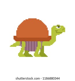 Turtle pixel art. tortoise 8 bit Vector illustration.
