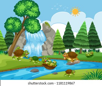 Schildkröte auf Flussgrafik
