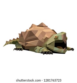 the turtle polygon