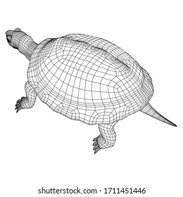 Turtle polygonal lines illustration. Abstract vector turtle on the white background