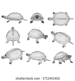 Ilustración de líneas poligonales de tortuga. Tortuga vector abstracta sobre fondo blanco