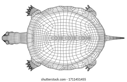 Turtle polygonal lines illustration. Abstract vector turtle on the white background