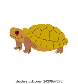 Turtle Reptile Animal Cartoon Style Illustration