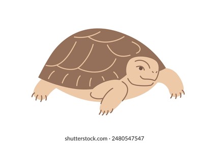 Turtle reptile pet doodle hand drawn character. Cute smiling exotic terrarium animal in linear cartoon style. Editable stroke illustration