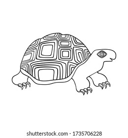 Turtle with retro pattern - hand drawn vector illustration.