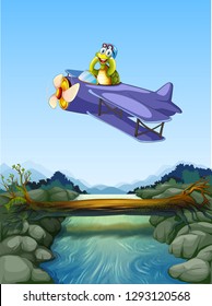 A turtle riding airplane illustration