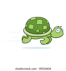 Turtle Running