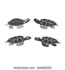 turtle scaly or hawksbill vector design logo for business