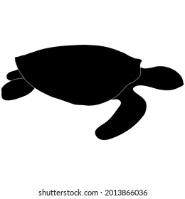 Turtle sea animal black silhouette outline vector illustration. A part of ocean wildlife.