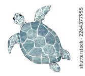 A turtle sea animal ocean watercolor painting style vector isolated on white background