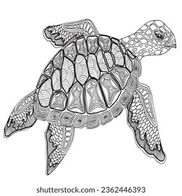 Turtle Sea Turtle Aquatic Creature 