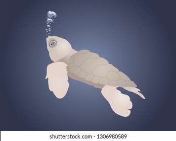 Turtle sea in blue ocean vector