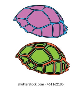 turtle sea icon cartoon design abstract illustration animal