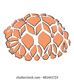 turtle sea icon cartoon design abstract illustration animal