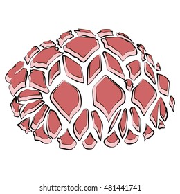 turtle sea icon cartoon design abstract illustration animal