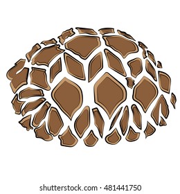 turtle sea icon cartoon design abstract illustration animal