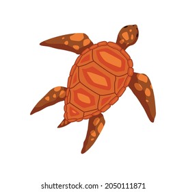 Turtle - sea and ocean animal. Fauna character in flat cartoon style. Vector cute colorful object isolated on white background