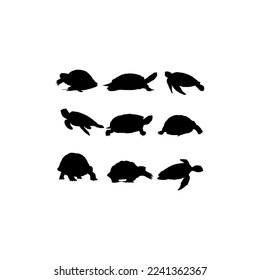 turtle sea silhouette set design