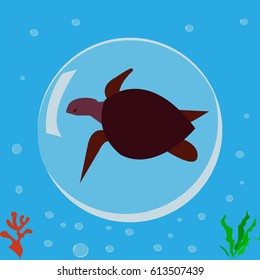 Turtle, seal, icon, logo, symbol.