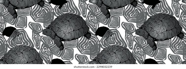 Turtle. Seamless set of vector patterns. Black and white