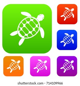 Turtle set icon color in flat style isolated on white. Collection sings vector illustration