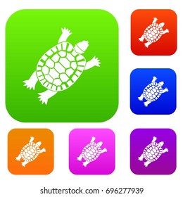 Turtle set icon in different colors isolated vector illustration. Premium collection