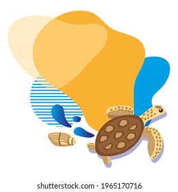 Turtle and shell pattern on white background for printing or web design
