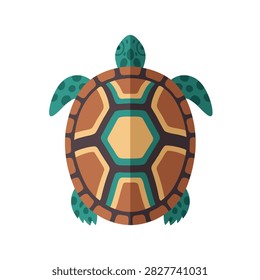 Turtle shell pattern viewed from top on white background.