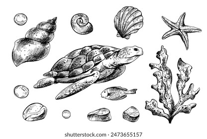 Turtle, shells, starfish, fish, bubbles, pebbles and other sea animals and plants. Graphic illustration hand drawn in black ink. Set of isolated objects EPS vector.