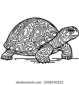 A turtle is shown in a black and white drawing. The turtle is standing on a surface and he is looking at the camera. The drawing has a simple and elegant style, with the focus on the turtle's form