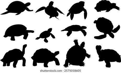 turtle silhouette in different poses collection, vector