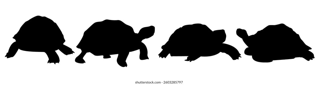 Turtle Silhouette Icon Set - Simple Flat Style Collection - Vector Illustration for Sticker, Logo, Symbol, Template, and Mockup - Isolated on White, EPS File