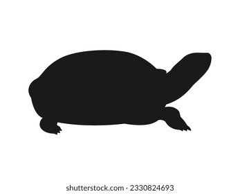 Schildkröte Silhouette Illustration nach der Seite.