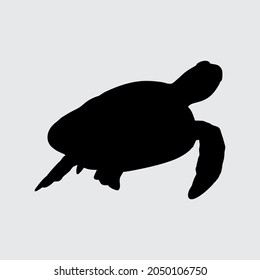 Turtle Silhouette, Turtle Isolated On White Background