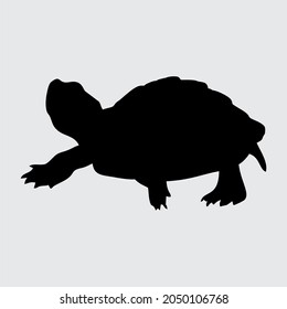 Turtle Silhouette, Turtle Isolated On White Background