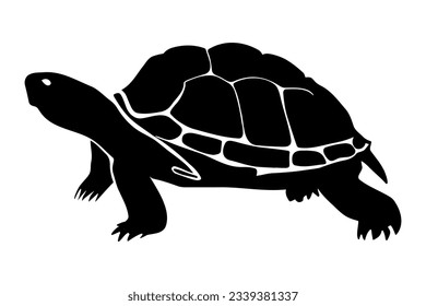 Silhouette de tortuga aislada. ilustración vectorial