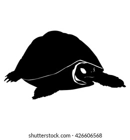 Turtle Silhouette On White Background Stock Vector (Royalty Free ...