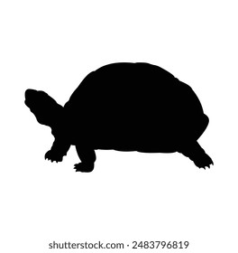 turtle silhouette vector design. black and white.